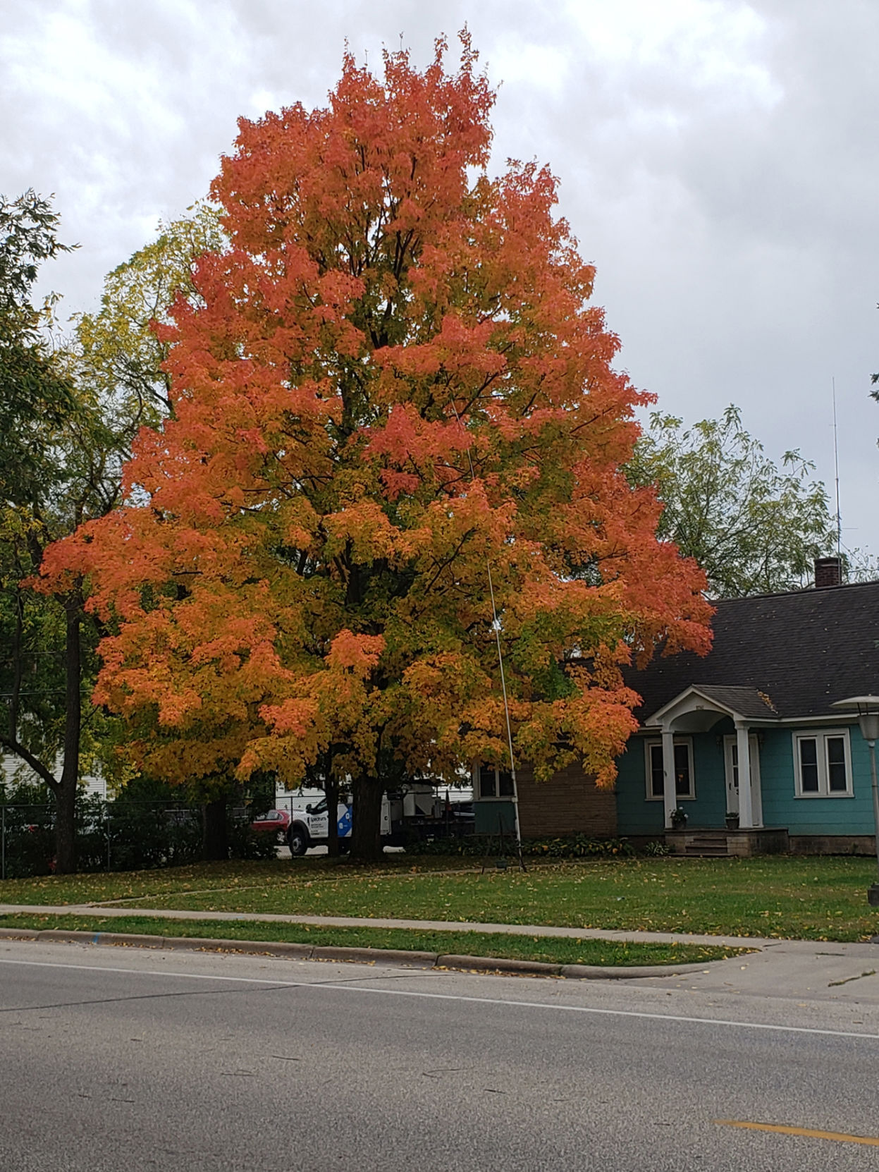 Glorious Goodview, Winona